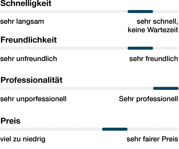 autoankauf-likert-scala-testimonial-1