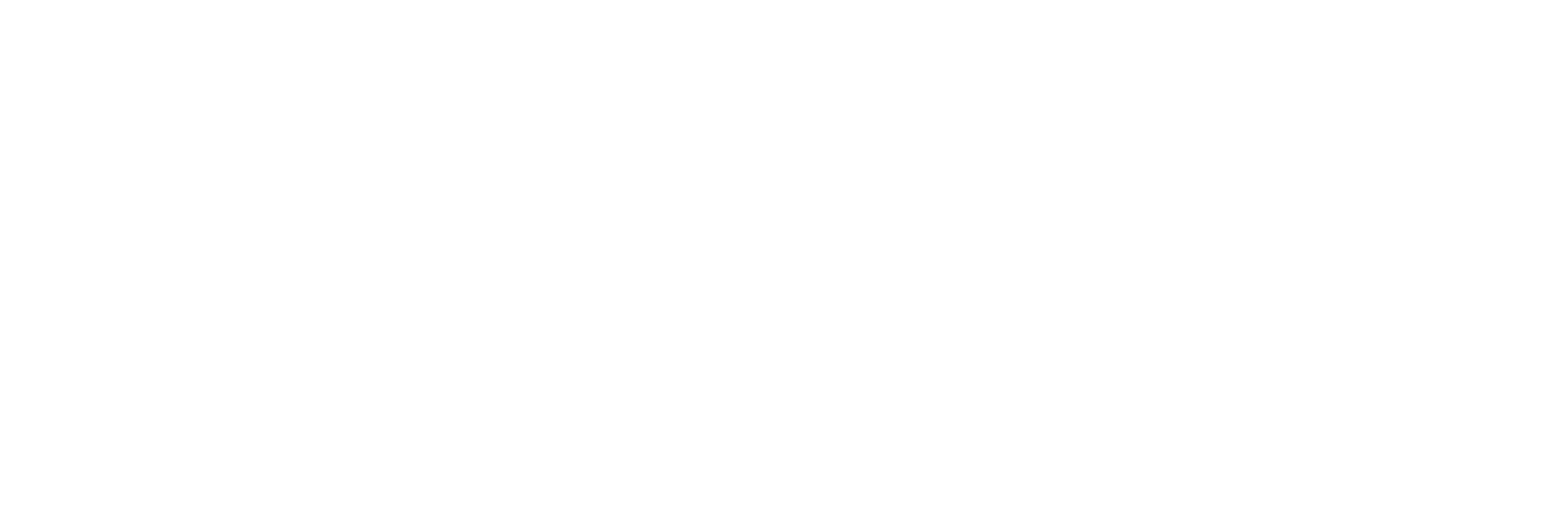 flxbl-logo-weiß